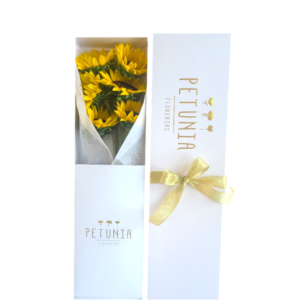 Pack mix globos con helio - Petunia Florerías - Tienda Flores