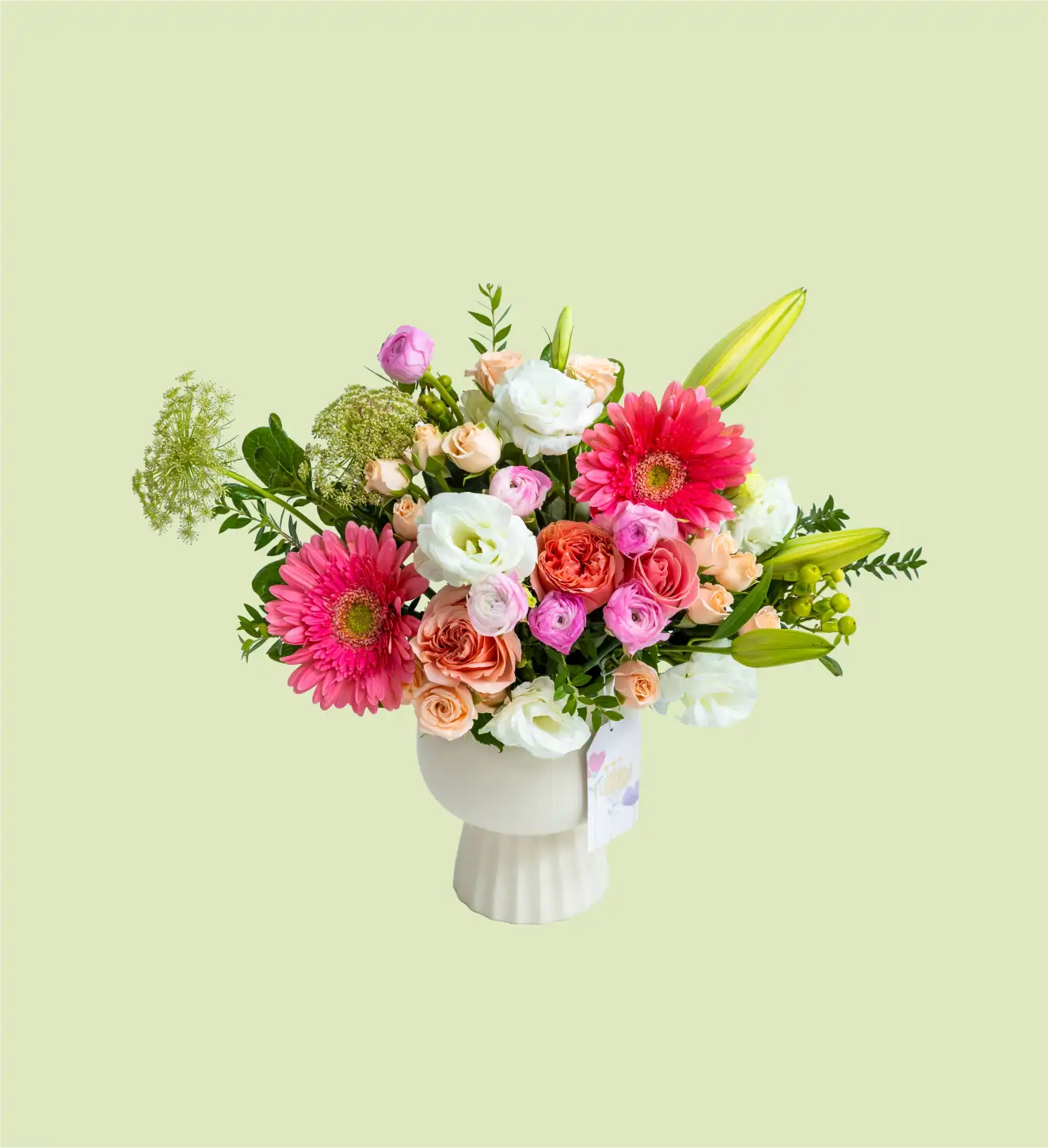 base jardin petunia